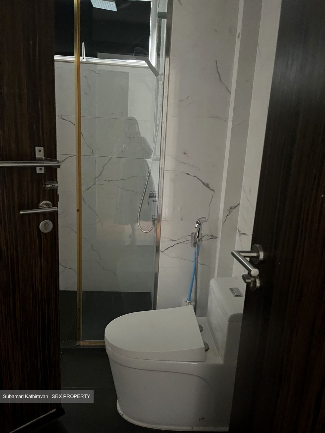 Dunearn Road (D11), Condominium #519130971